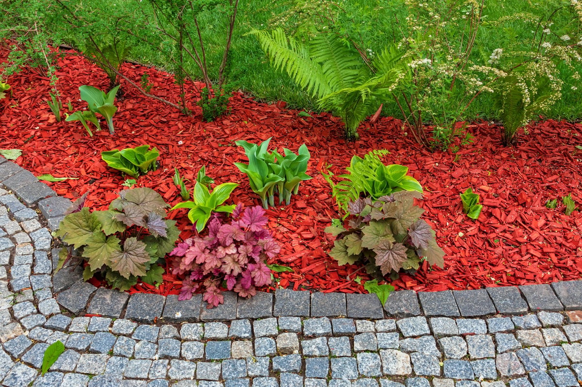 Fresh mulch and landscaping beds