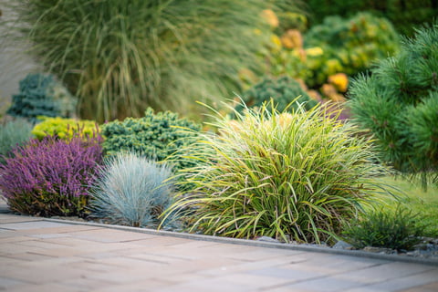General Landscaping