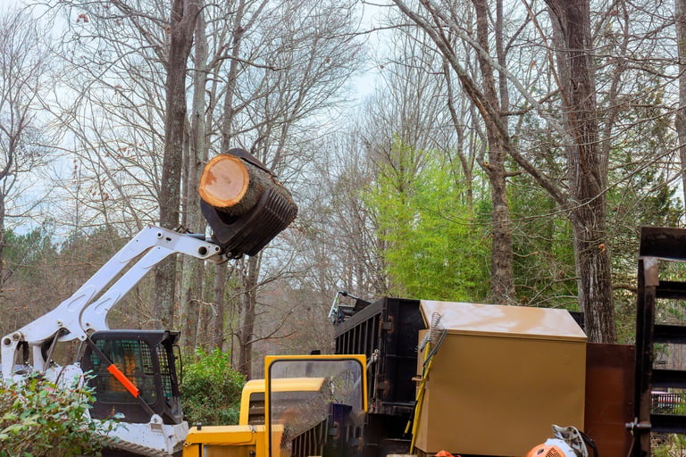 Heavy machinery removing tree logs