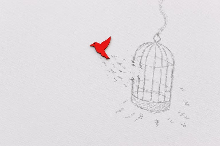 Concept of freedom and breaking free from confinement