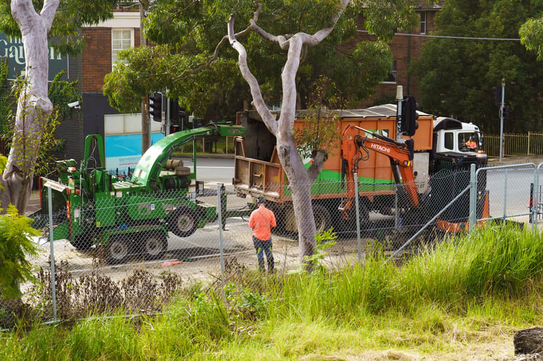 Certified arborists removing hazardous storm-damaged trees