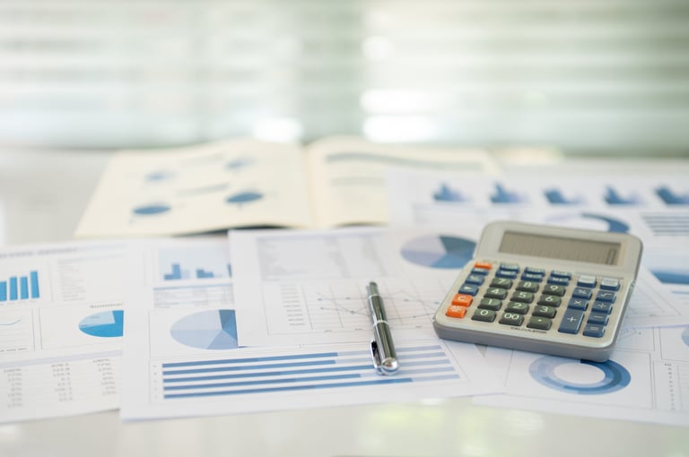Account statement and business report with audit review