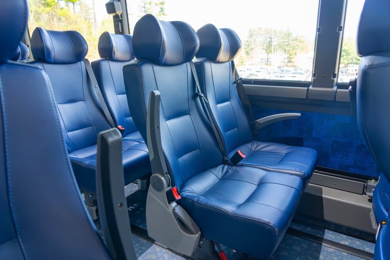 Close up of leather seat on the bus