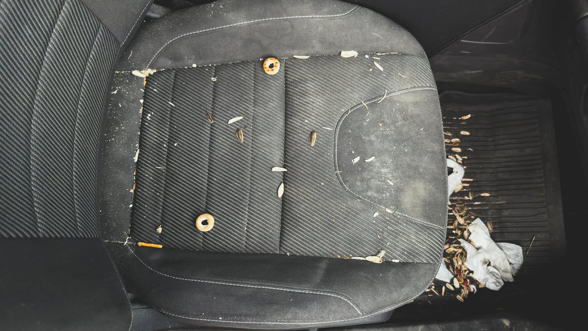 Before interior detailing — dirty car backseat before Arko Detailing restoration Pretoria