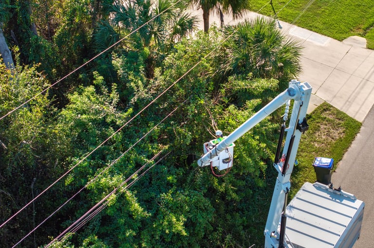 Professional electrician utility worker trimming tree branches