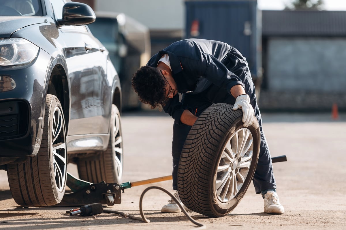 Professional mechanic working