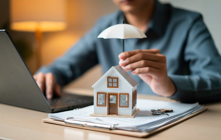 Device and electronics protection with home coverage concept