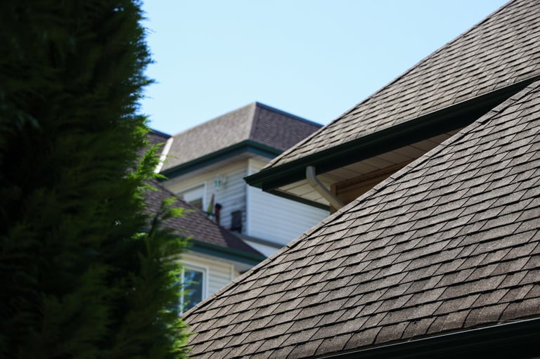Completed residential roof with tree canopy