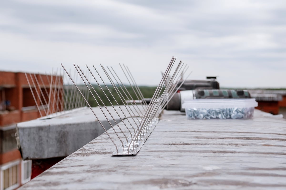 Anti-bird metal spikes installed on a rooftop edge with a box of mounting screws, urban residential buildings and green trees in the background on a cloudy day