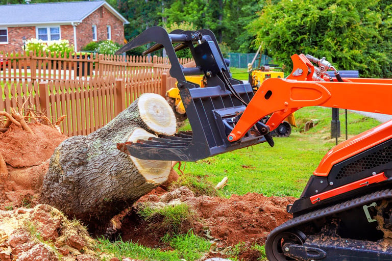 Construction machinery removes large tree stump from yard