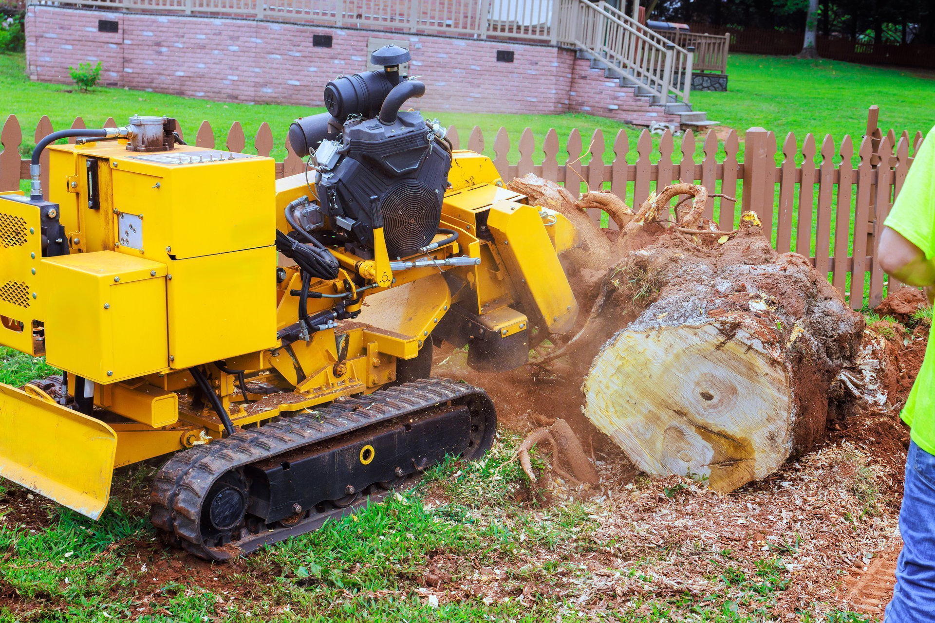 Stump grinder removing a large tree stump in a backyard, scattering wood chips