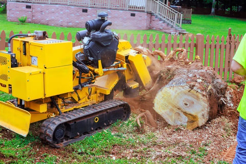 Powerful stump grinder working to eliminate a large tree stump in a backyard, scattering wood chips