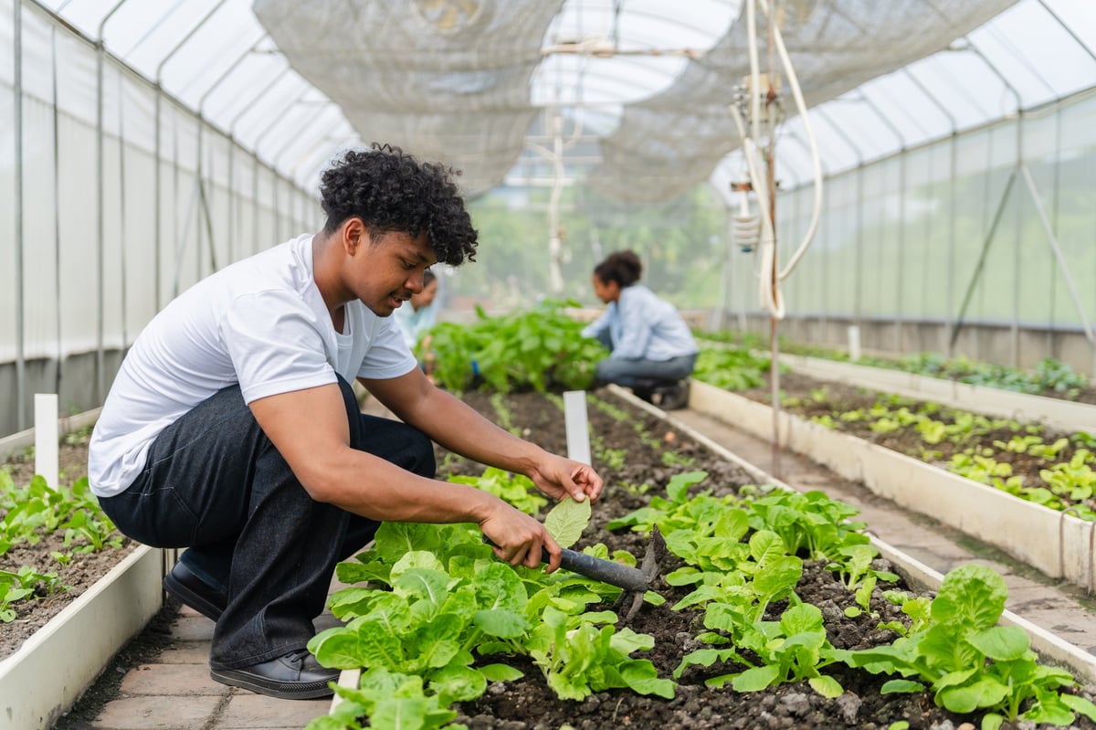 Students inspecting and caring for plants in a greenhouse during an agriculture lesson