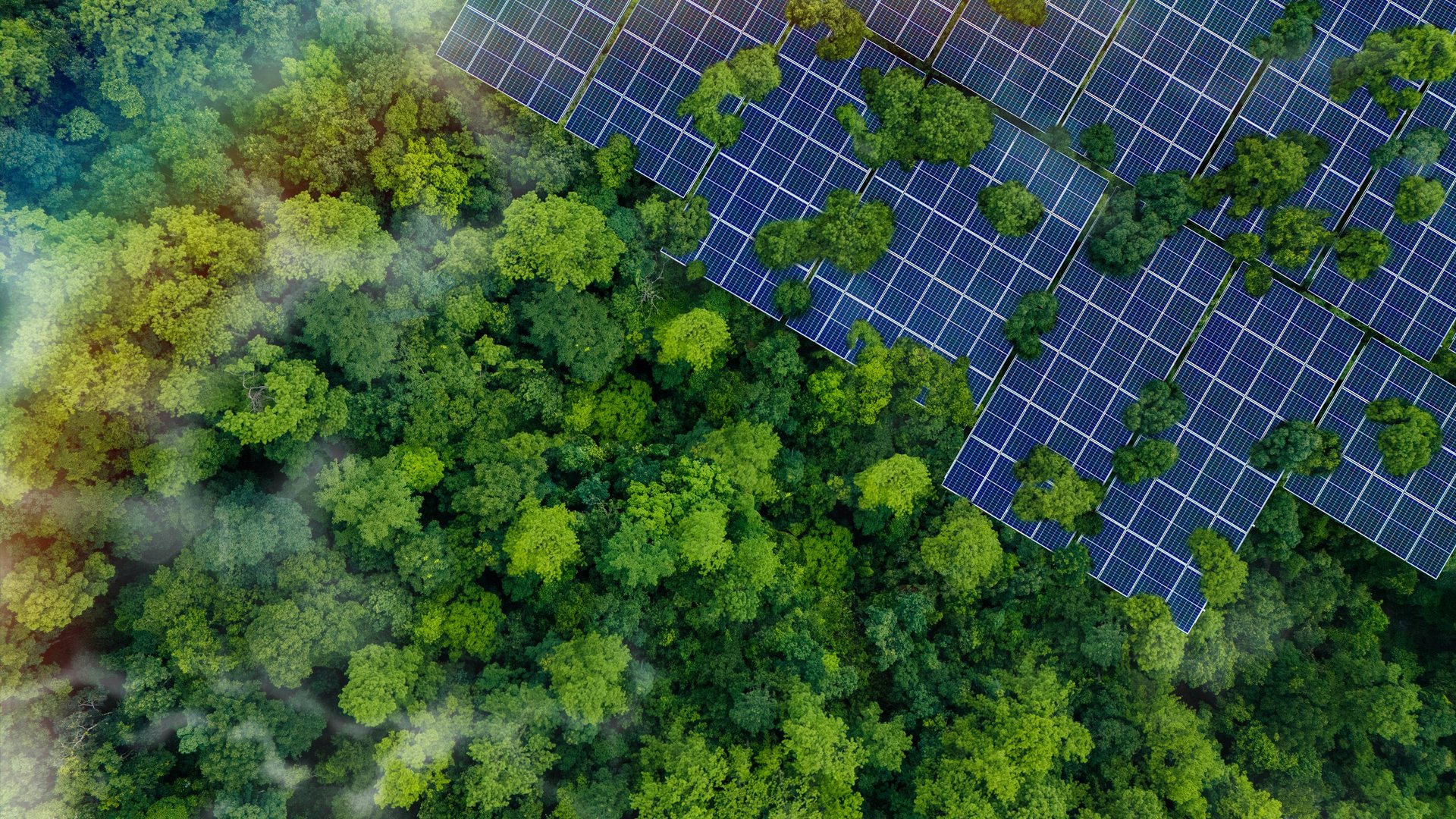 Solar panels installed in the green forest, clean alternative energy concept