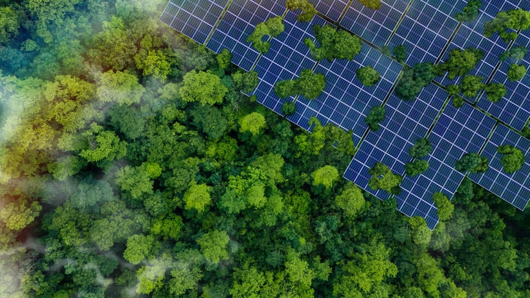 Solar panels installed in the green forest — clean alternative energy