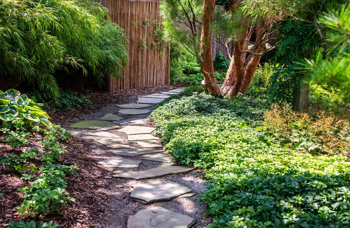 A winding stone path through a lush green garden with thick foliage
