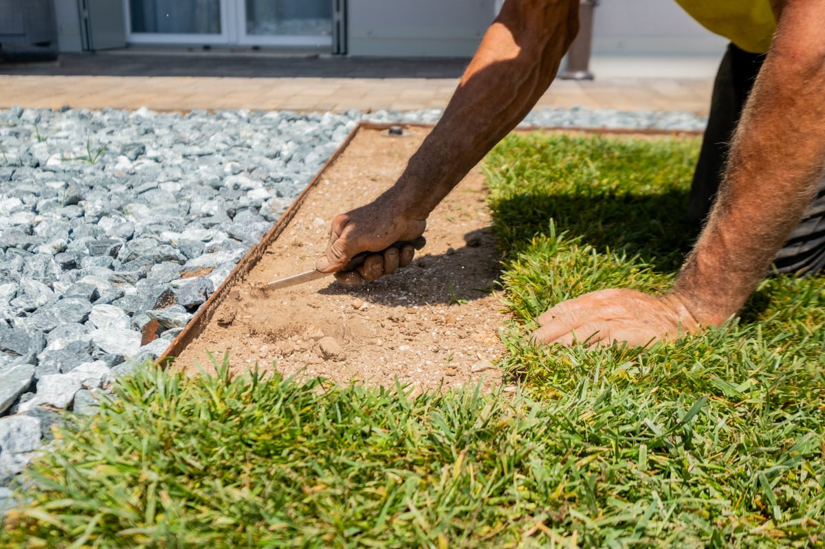 Fresh green sod lawn installation — Capital Estate Exteriors landscaping Ottawa