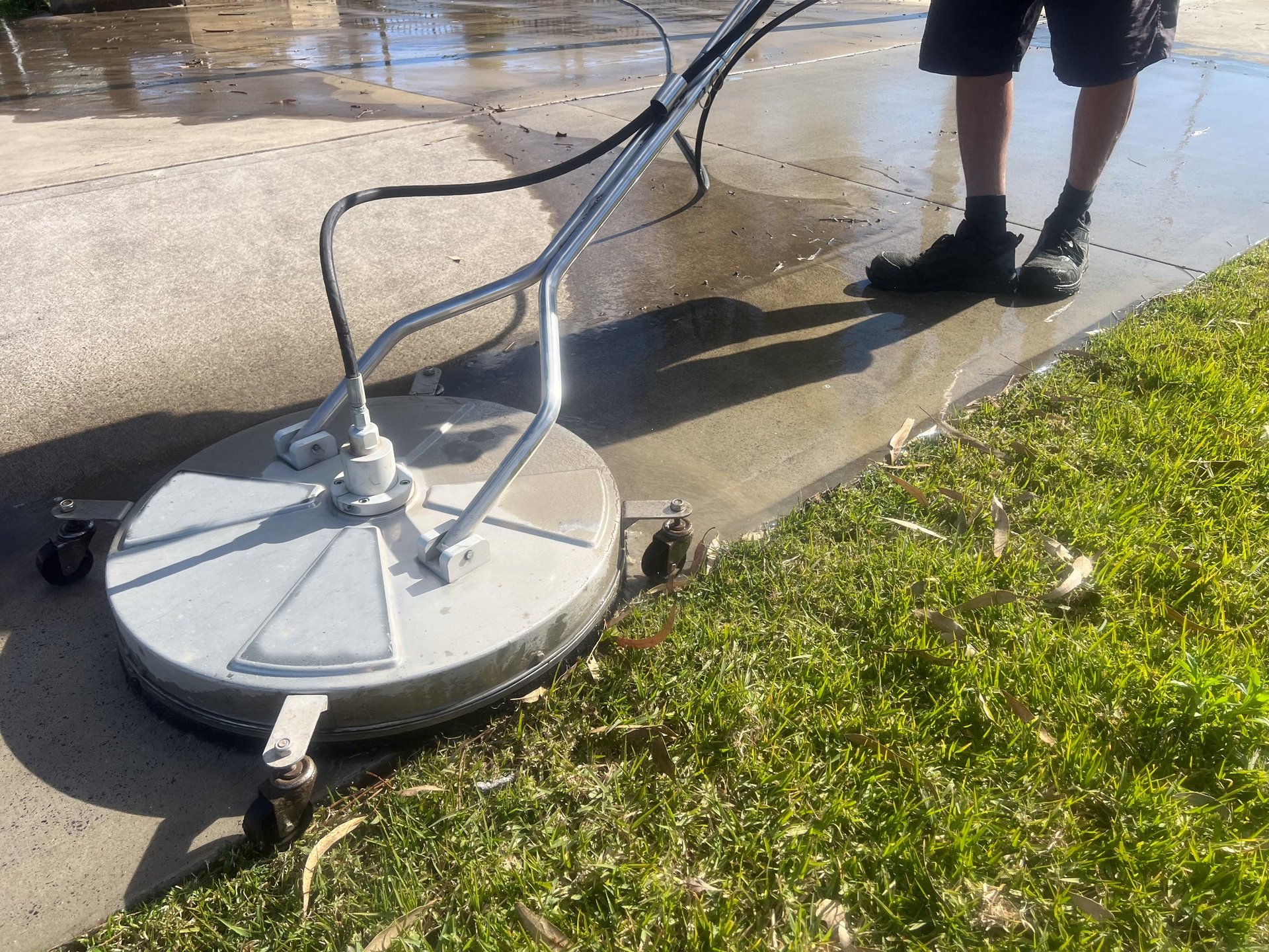 Mold removal service