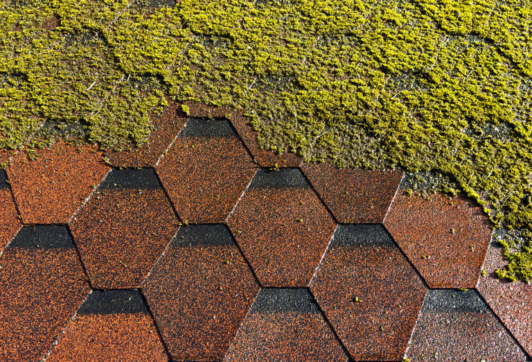 Tiles roof before and after cleaning. Water moss clean washing with high pressure water