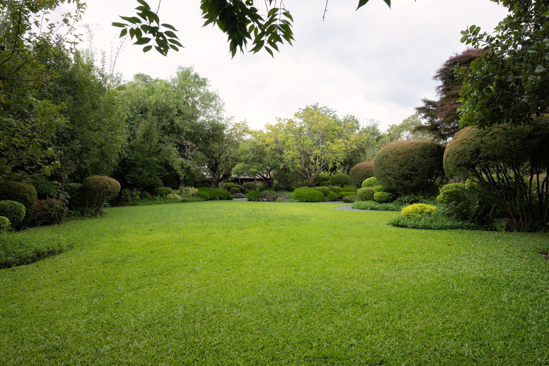 Professional lawn care service in Erie, Colorado — lush green residential lawn with precision mowing stripes