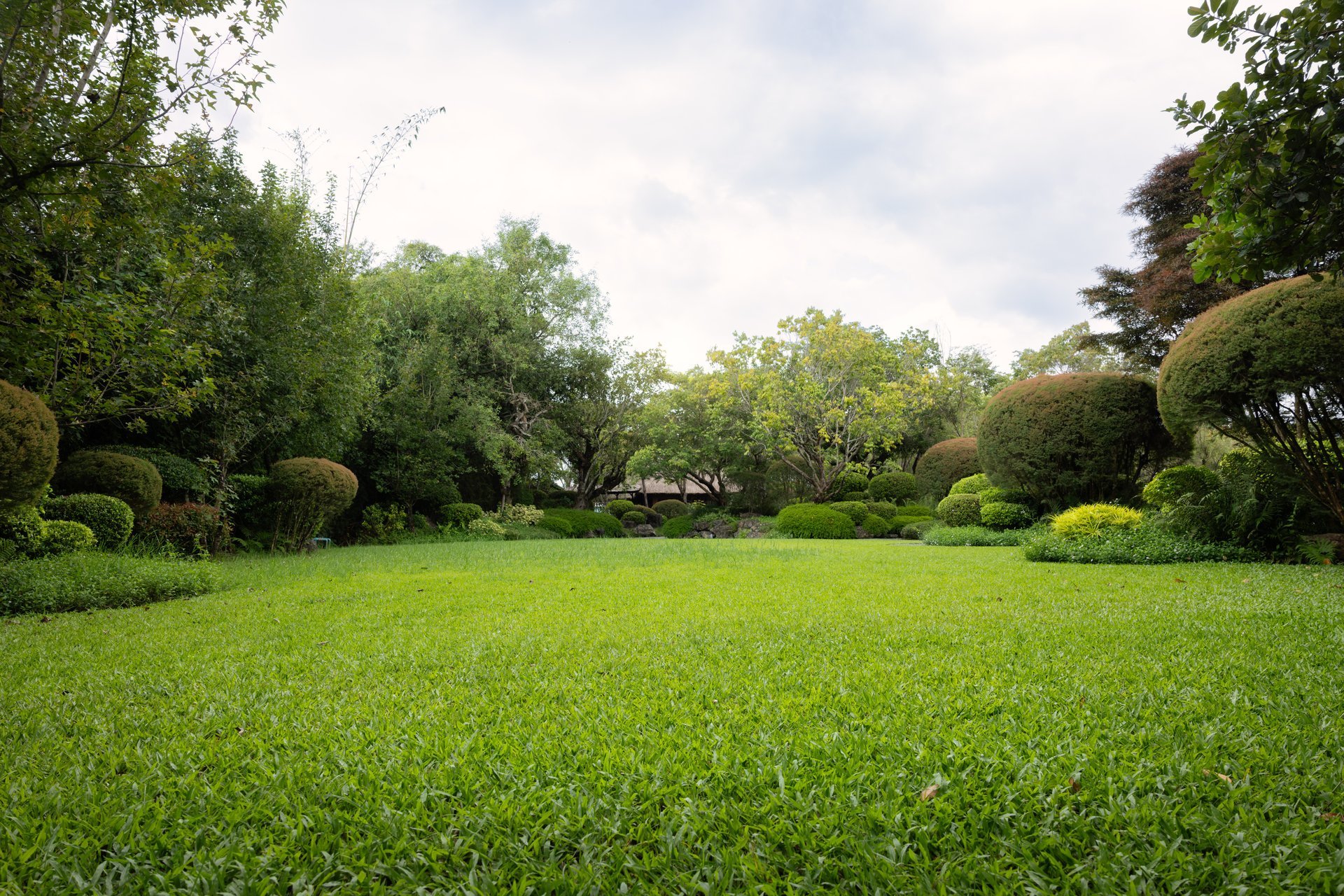 Lush residential lawn and landscaping