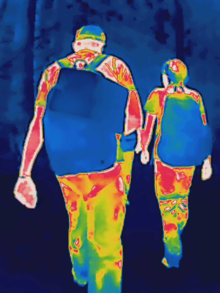 Thermal imaging detection results