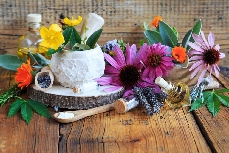 Homeopathy and the power of nature wellness journal