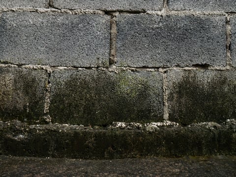 Moisture damage and mold growth on concrete wall