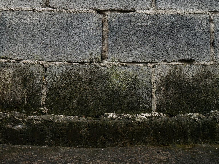 Moisture damage and mold growth on concrete wall foundation