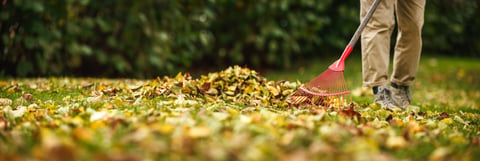 Leaf removal service