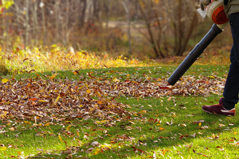 Man cleaning fallen autumn leaves from green lawn with a leaf blower