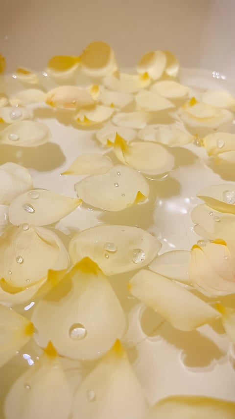 Petali dorati sull'acqua