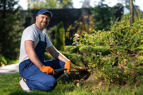 Team member working in landscaping