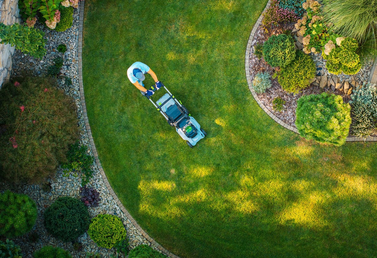 Beautiful green lawn in New Orleans
