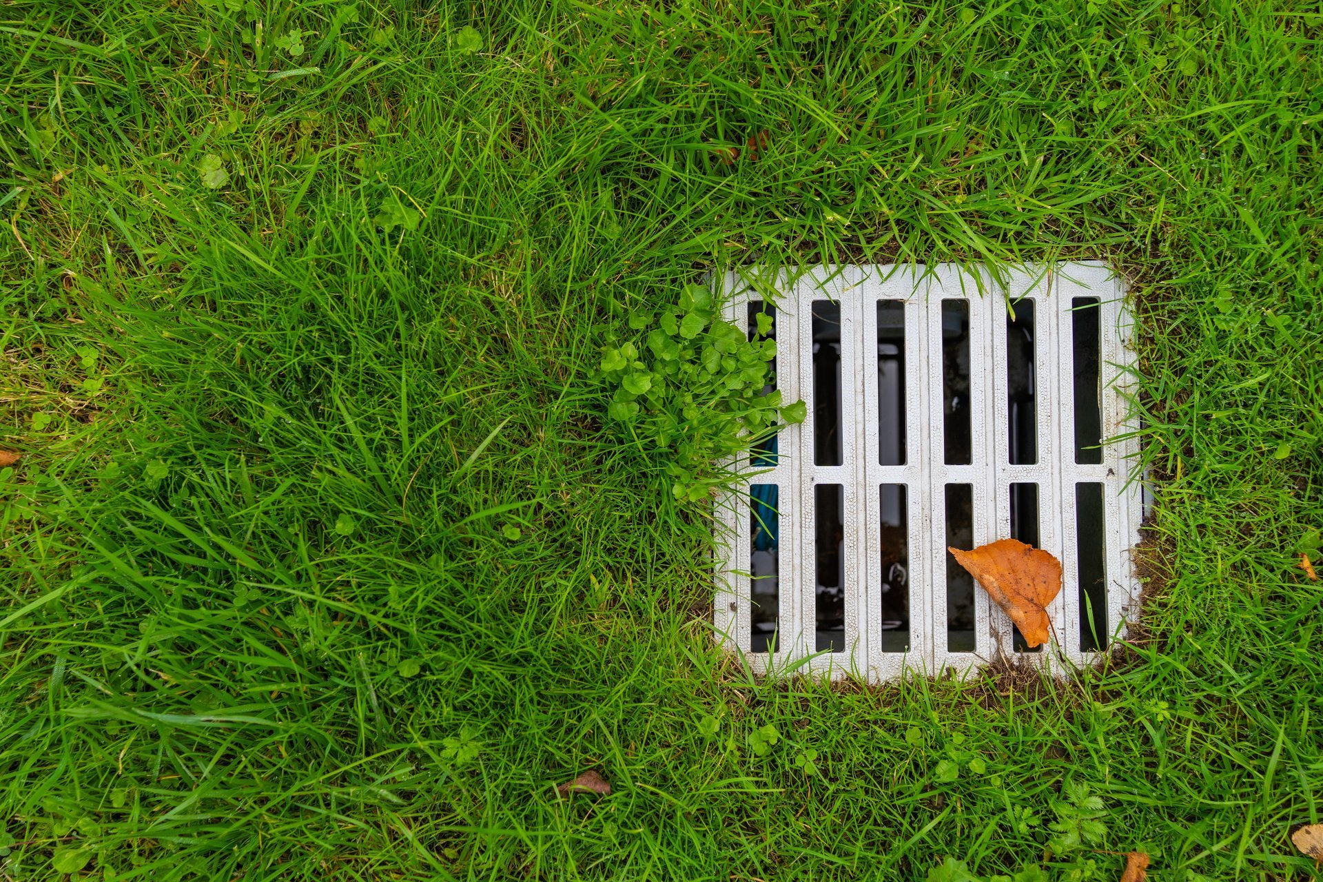 Storm drain installation on green lawn