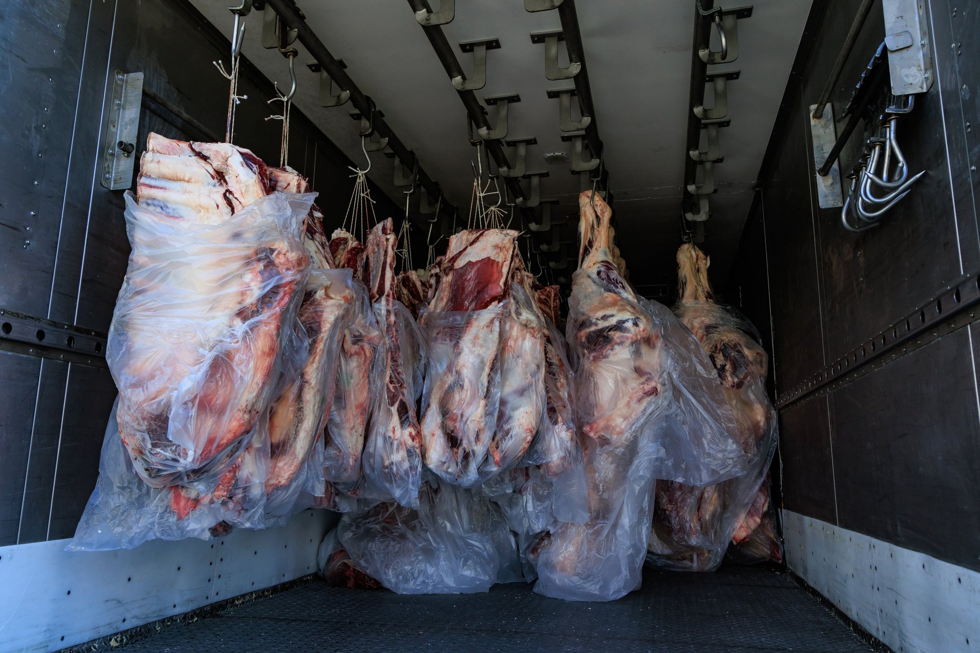Refrigerated beef transport for export