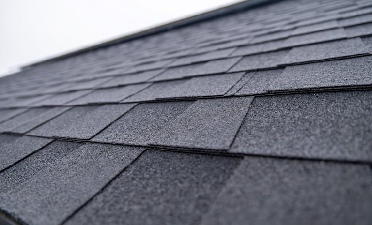 Asphalt shingle roof texture