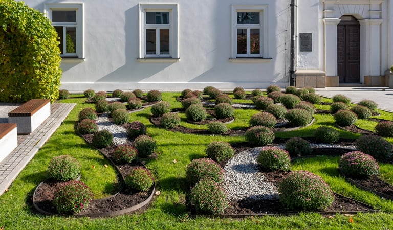 Lush manicured lawn with shrubs and a green Japanese maple