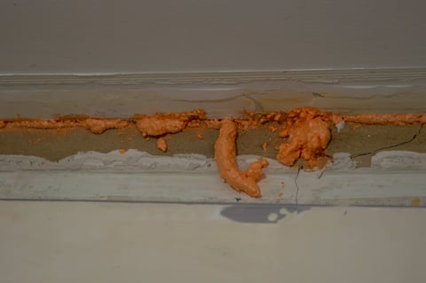 Professional mold inspection in residential space