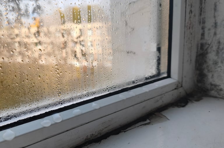 Misted double glazed unit before repair