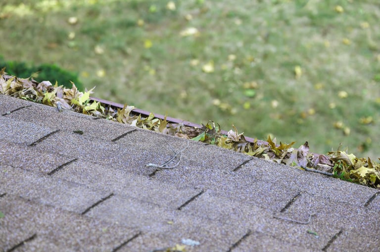 Leaves collecting on gutters of rooftop during fall