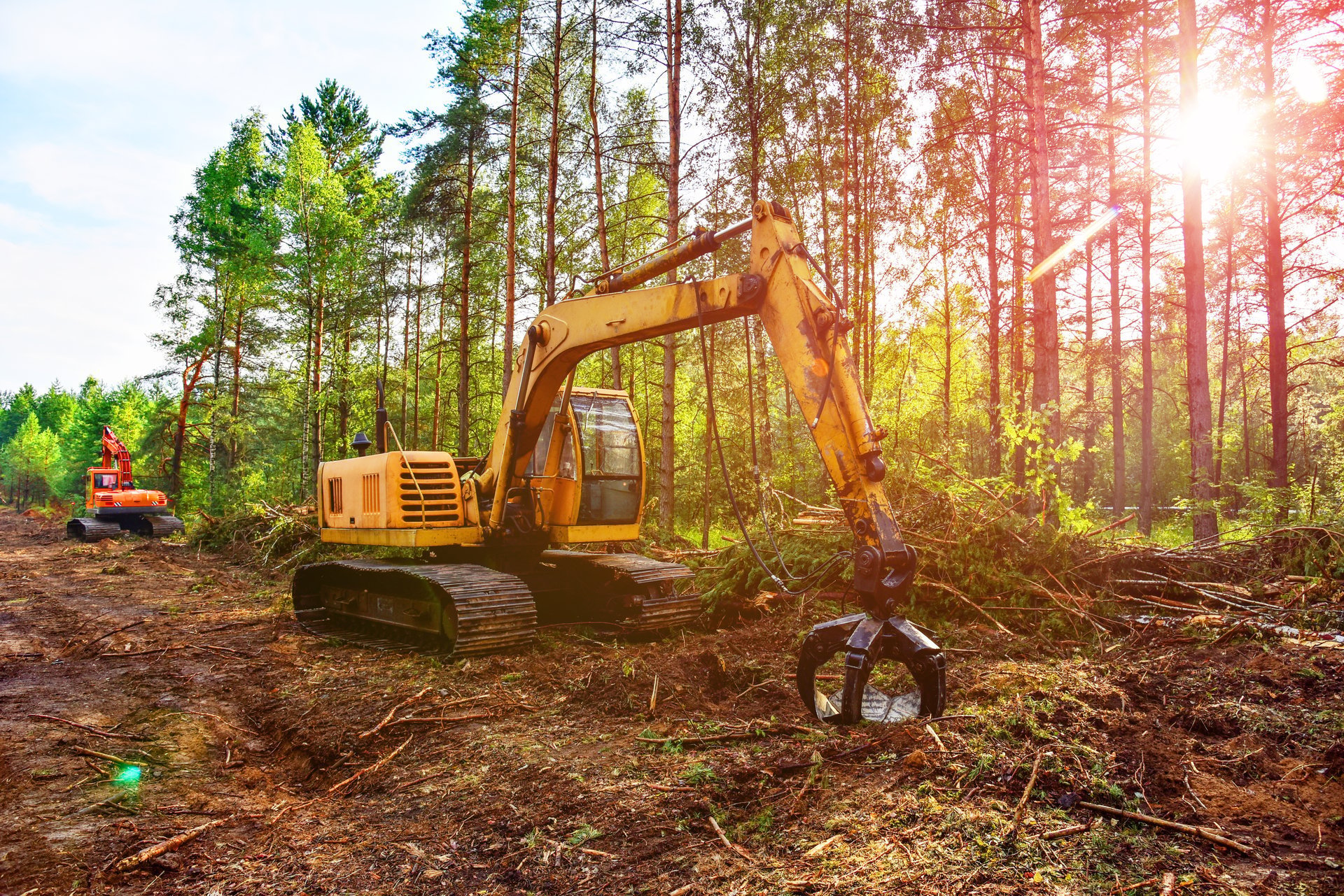 Excavator clearing forest and trees for land development