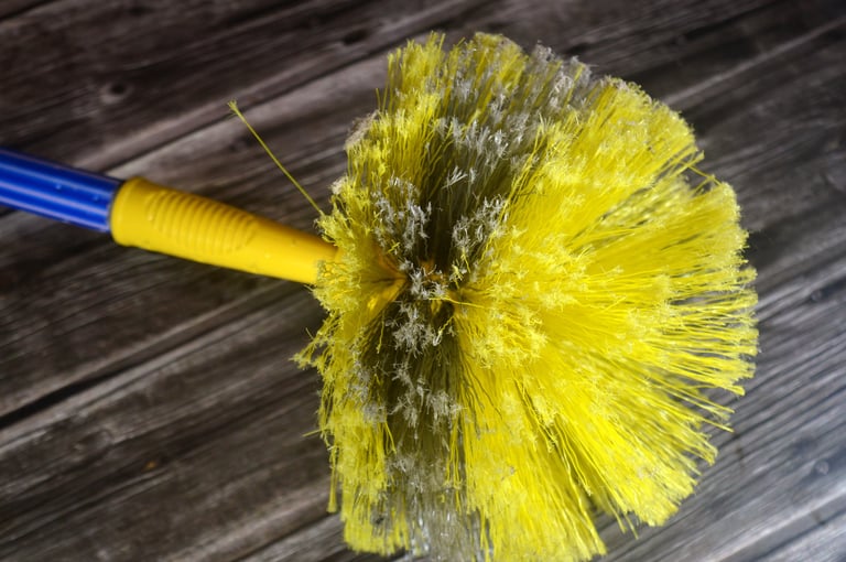 Cobweb Duster with Extension Pole