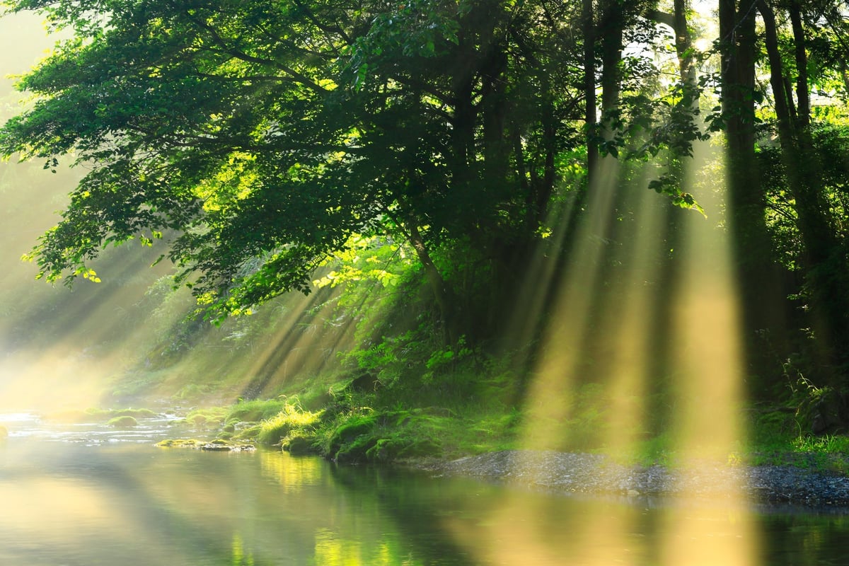 Serene summer nature scenery with peaceful landscape