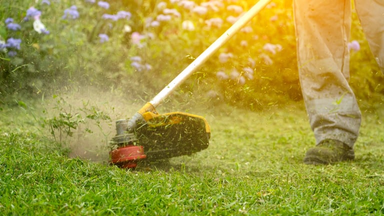 Landscaping & Bed Maintenance