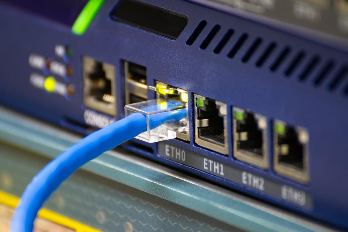 Close-up of a blue ethernet cable plugged into a network switch or router, showing data connection and IT infrastructure