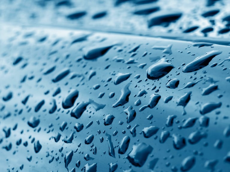 Water beading on a freshly detailed glossy car finish showing hydrophobic protection — KJAJ Details ceramic coating