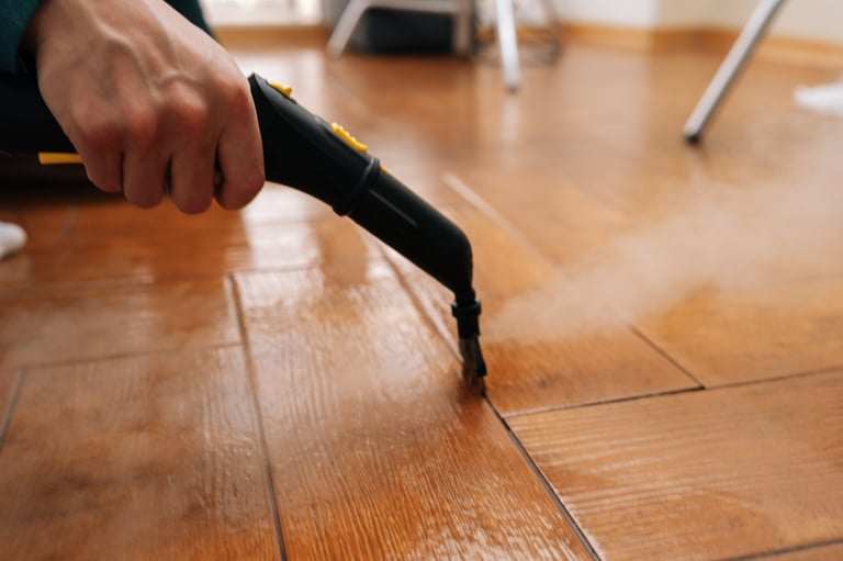 Professional cleaning with steam machine
