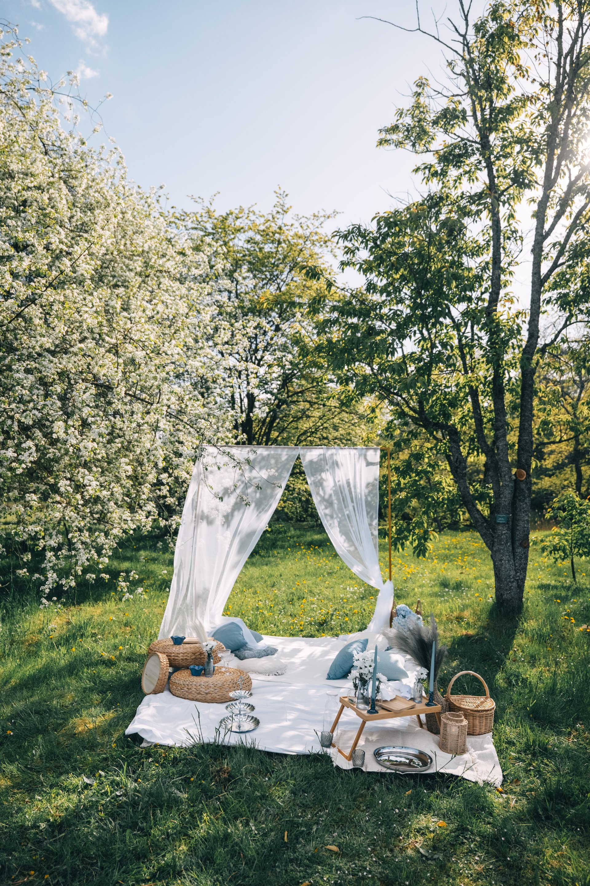 Soft pastel picnic with pillows, blankets, and a basket beneath blooming spring trees