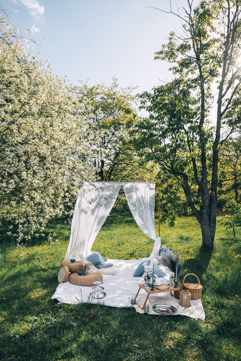 Soft picnic blanket with pillows and basket beneath blooming spring trees